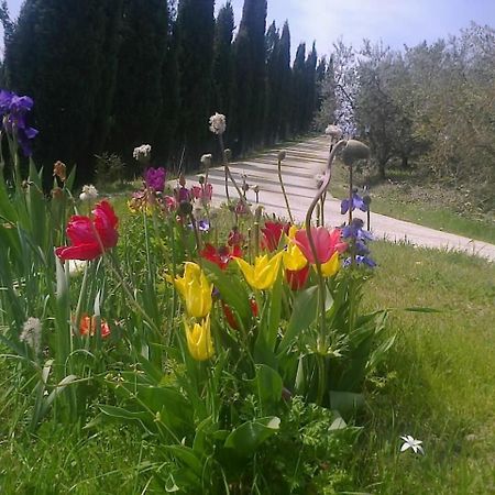 Residence Ai Campi Da Golf Saturnia Εξωτερικό φωτογραφία