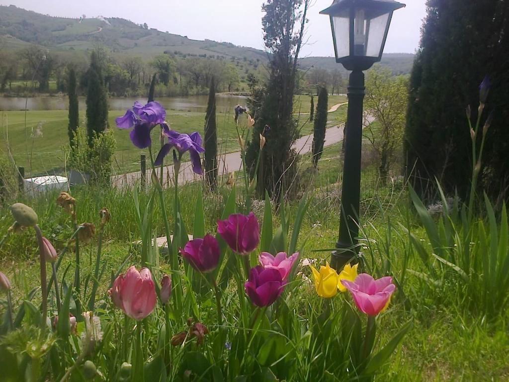 Residence Ai Campi Da Golf Saturnia Εξωτερικό φωτογραφία