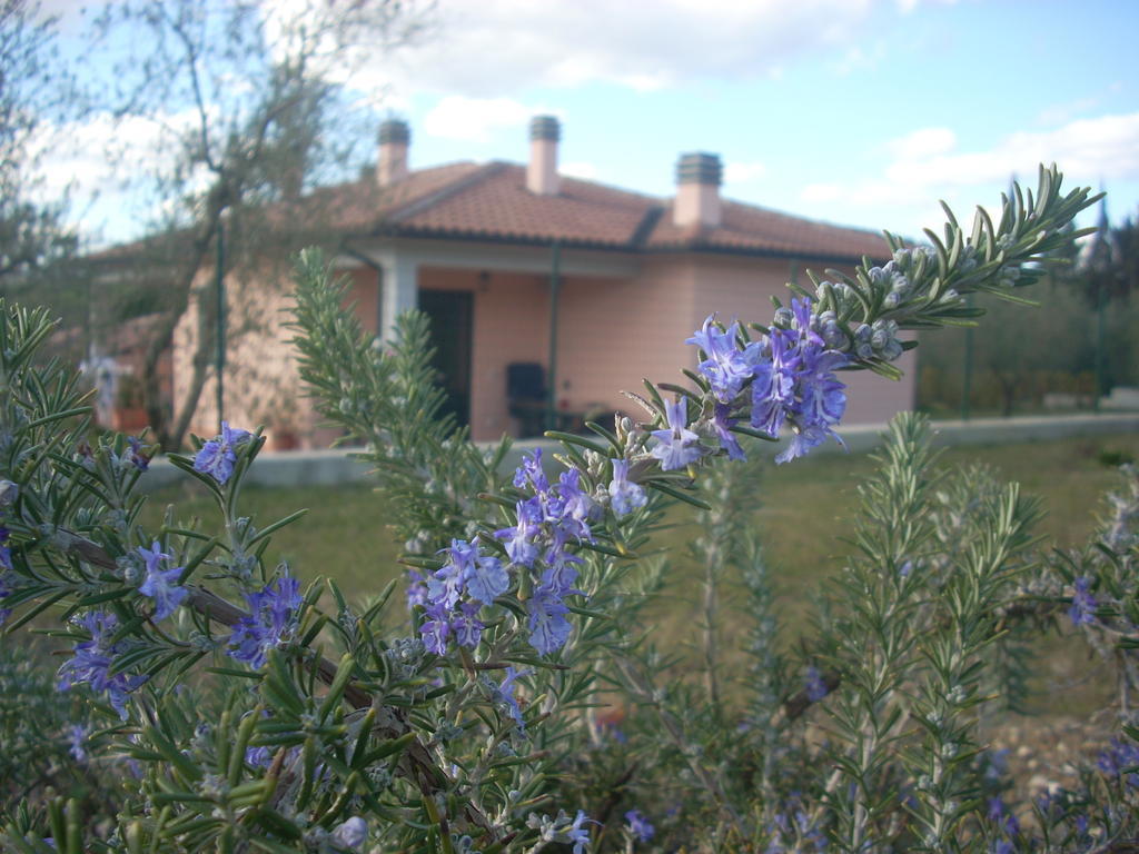 Residence Ai Campi Da Golf Saturnia Δωμάτιο φωτογραφία