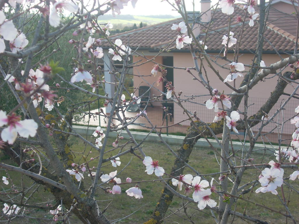 Residence Ai Campi Da Golf Saturnia Εξωτερικό φωτογραφία