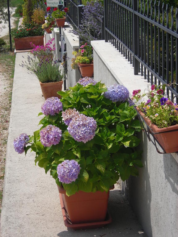 Residence Ai Campi Da Golf Saturnia Δωμάτιο φωτογραφία